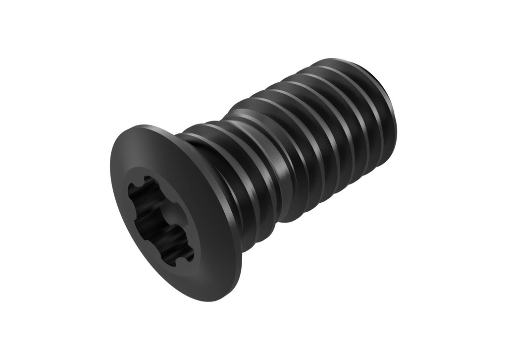 CS3507-T09P