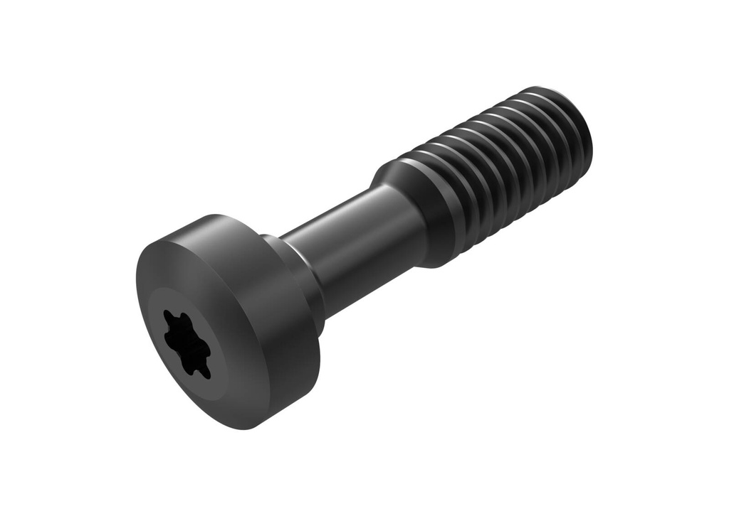 L84017-T09P