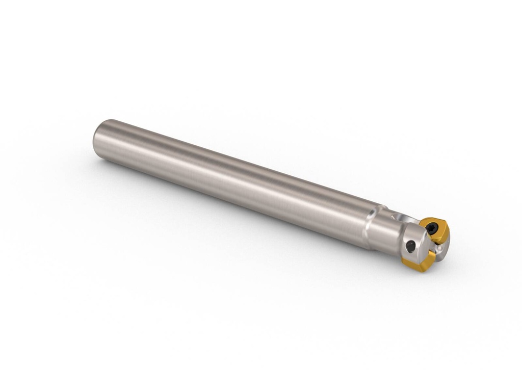 R217.21-2020.0-LO06.2A BRA