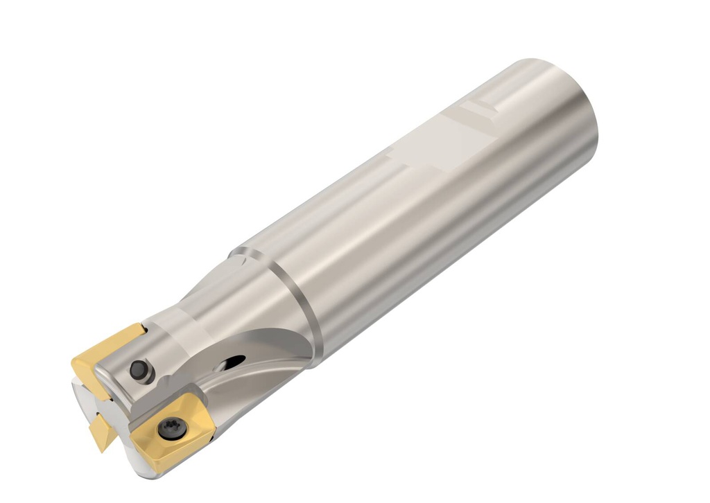 R217.69-2020.0-10-3A L150  BRA