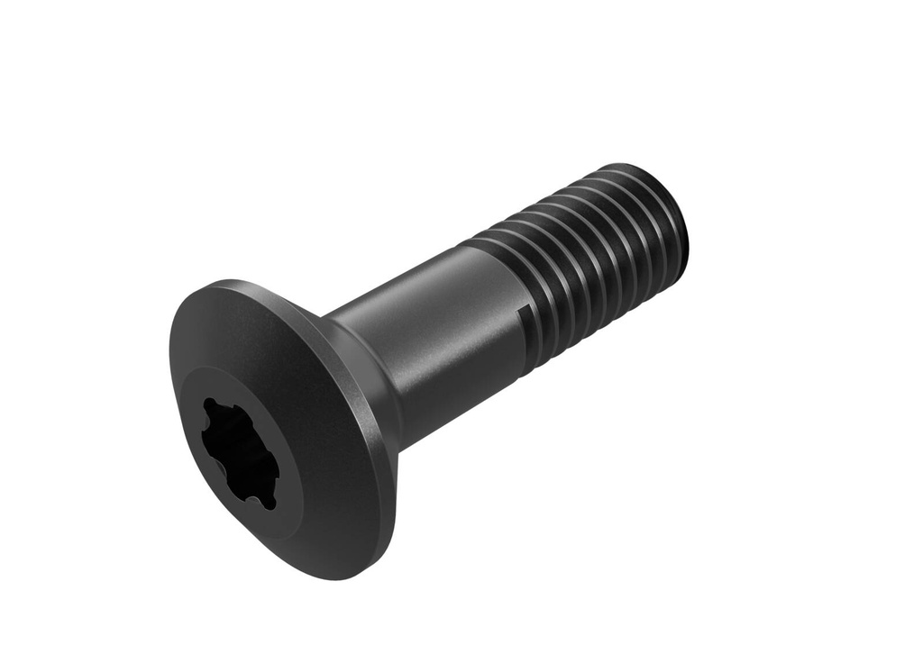 WS1920-T20P