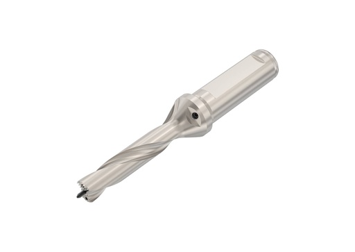 [02462818] SD103-10.50/10.99-30-16R7